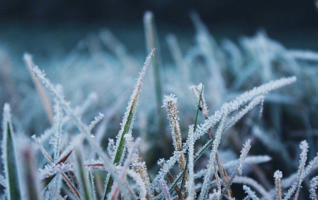 Лютнева погода: синоптики попередили про сильні морози